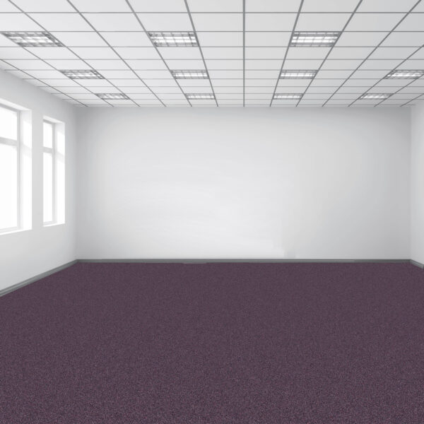 Purple - Image 8