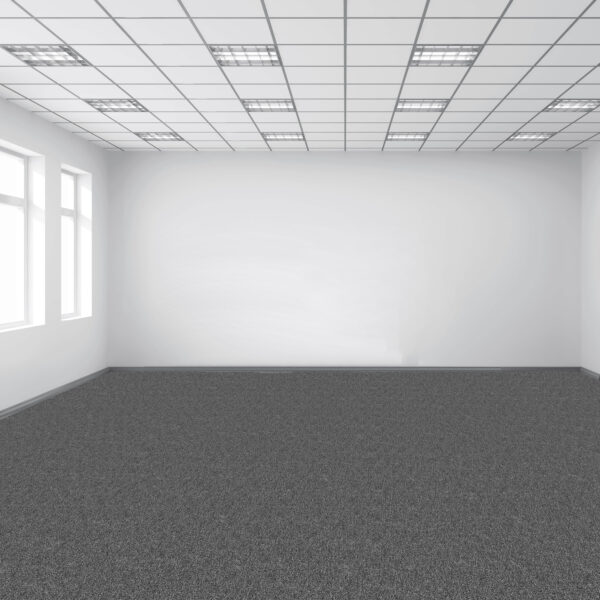 Light Grey - Image 7