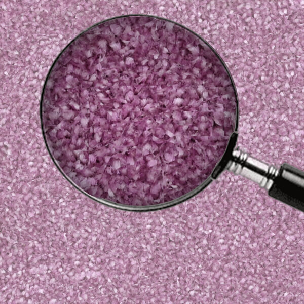 Lavender - Image 6