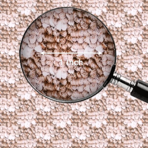 Light Brown - Image 5