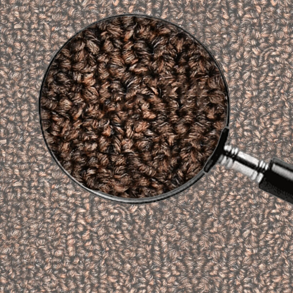 Brown - Image 6
