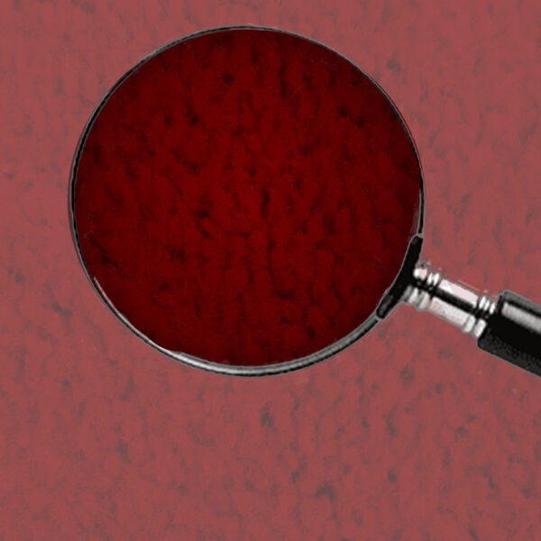 Maroon - Image 8