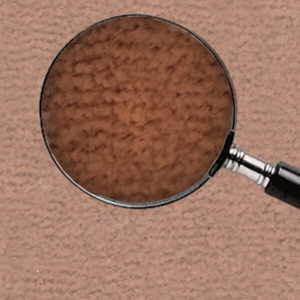 Dark Brown - Image 4