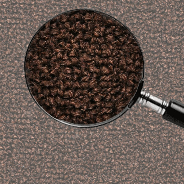 C Brown - Image 7