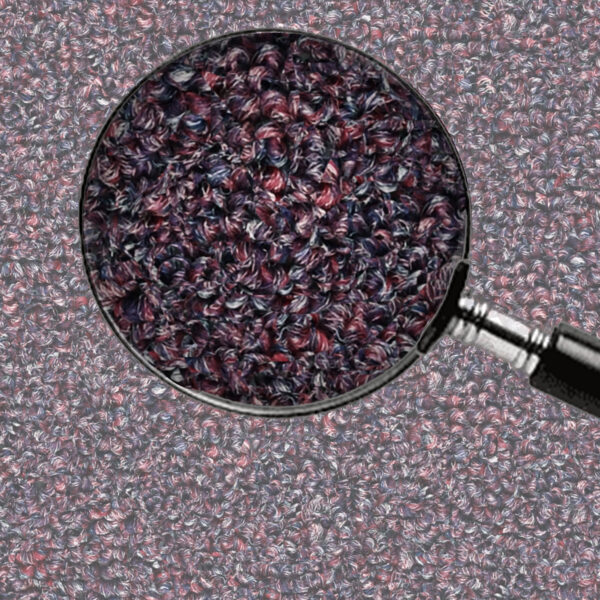 Purple - Image 7