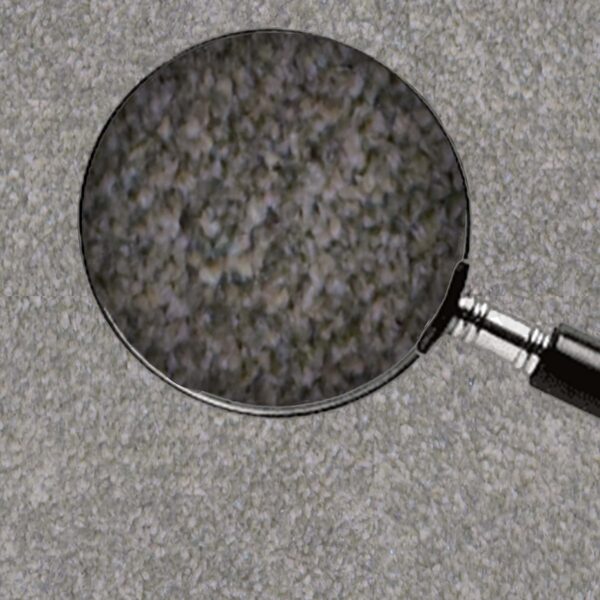 Grey - Image 6