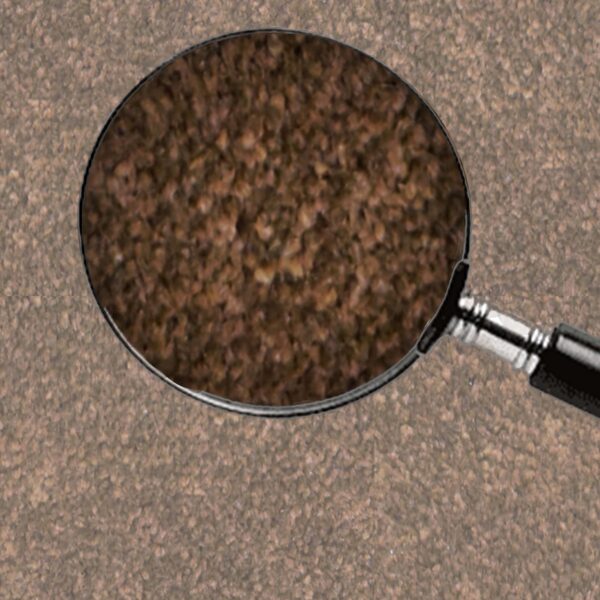 03 Brown - Image 5