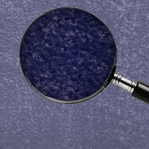 Navy Blue - Image 10