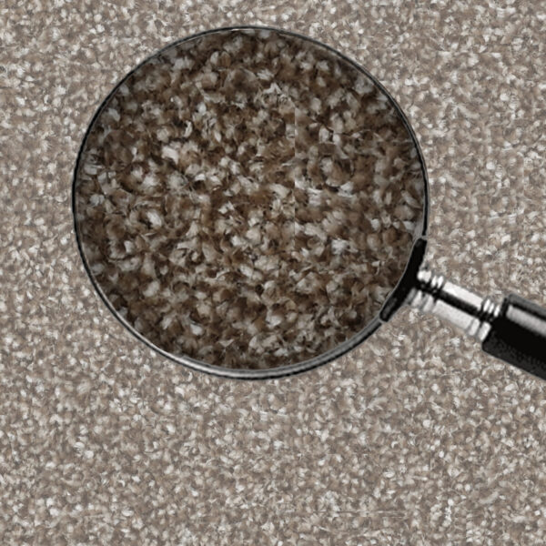 Dark Brown - Image 5
