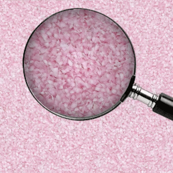 Pink - Image 8