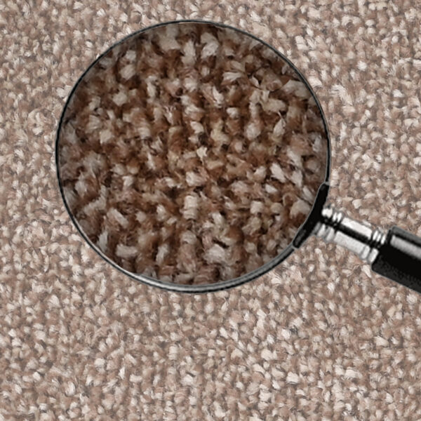 Dark Brown - Image 3